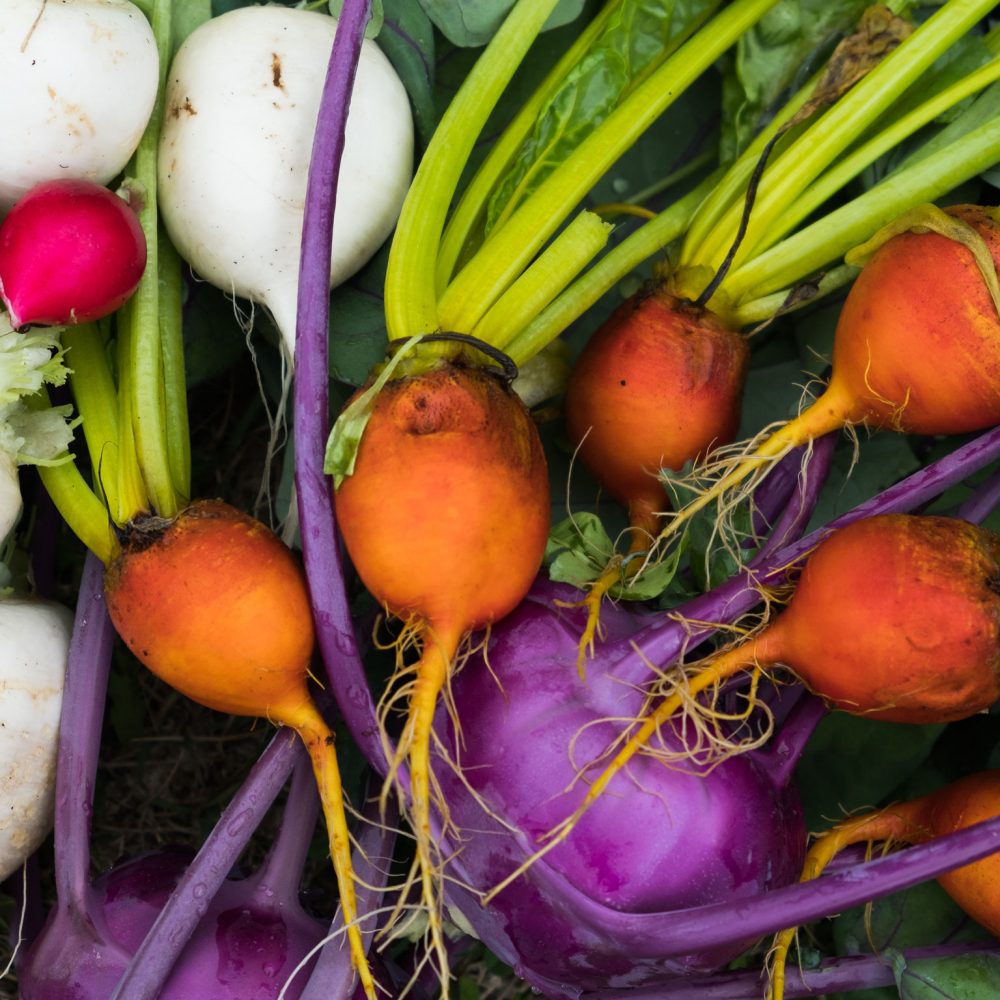 Visite du jardin en septembre