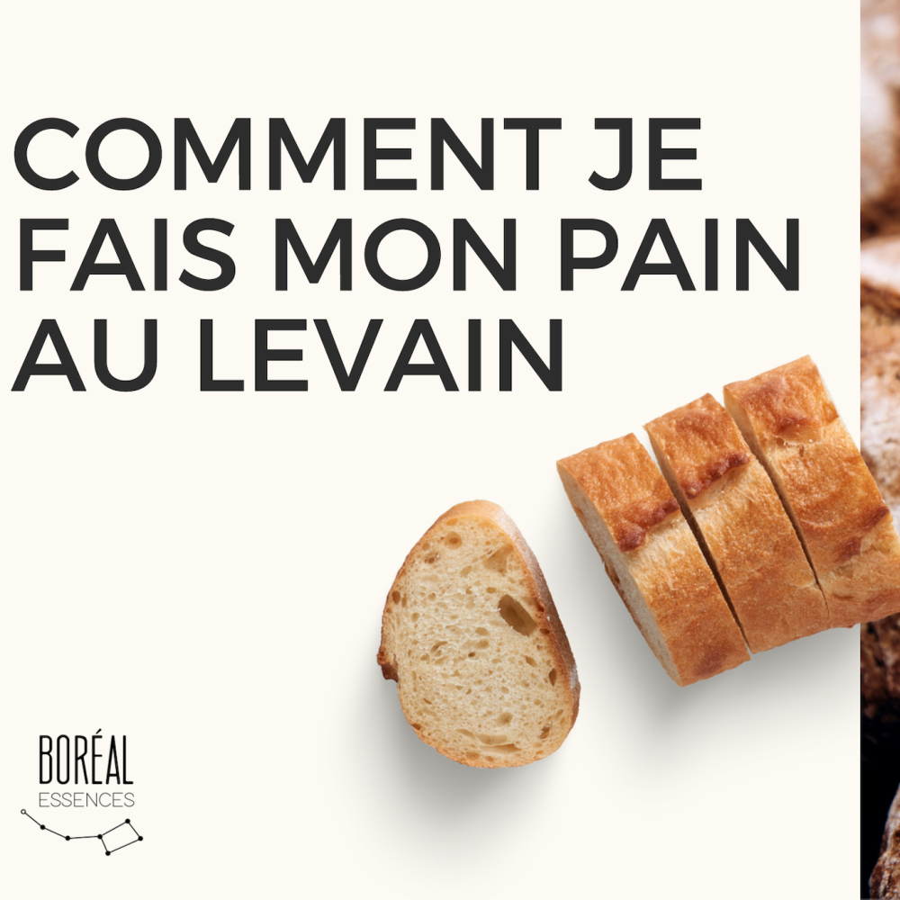 Comment je fais mon pain au levain